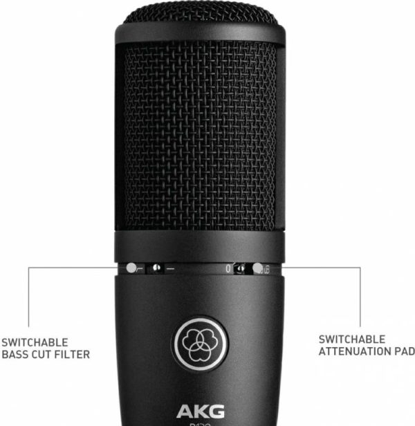 Audio & Video |   P120 Studio Condenser Recording Microphone Audio & Video Audio & Video