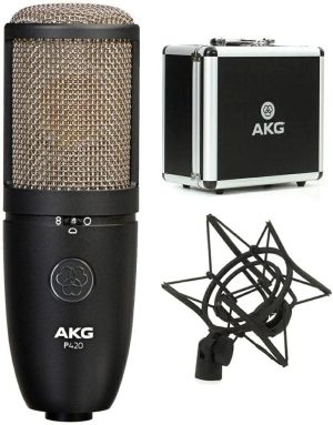 Audio & Video |   Pro Audio P420 Dual Capsule Condenser Microphone, Black 3101H00430 Audio & Video Audio & Video