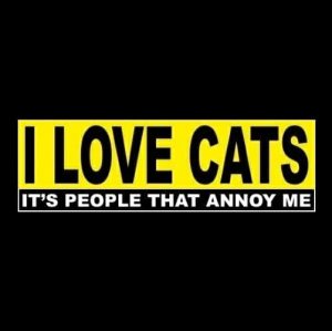 Sticky Pads & Car Mat |   Stickers Decals Funny Inchi Love Cats – It’S People That Annoy Me Inch Window Decal Bumper Sticker Car Accessories Sticky Pads & Car Mat